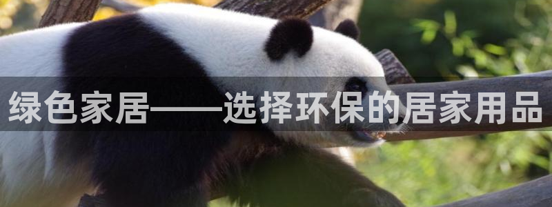 意昂5(KGAME)如何注册：绿色家居——选择环保的居家用品