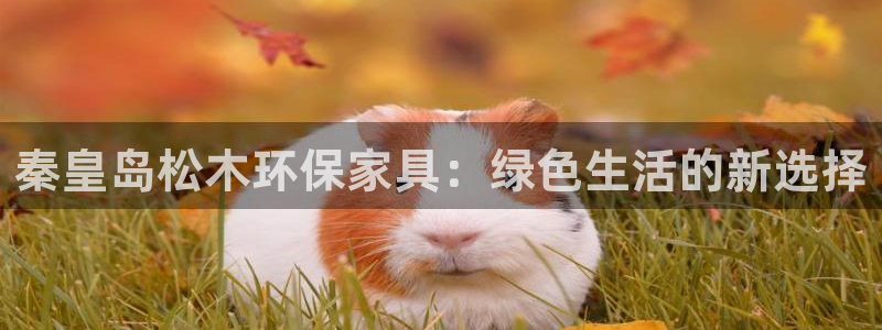 意昂5(KGAME)注册app：秦皇岛松木环保家具：绿色生活