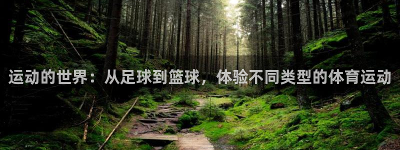 oety欧亿：运动的世界：从足球到篮球，体验不同类型的体育运动