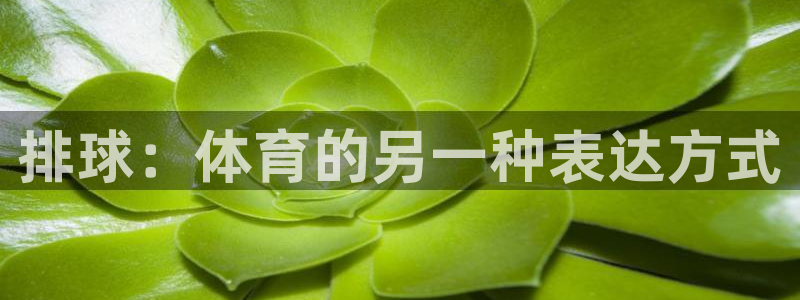 oety欧亿：排球：体育的另一种表达方式