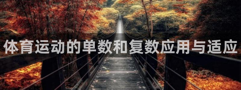 oety欧亿：体育运动的单数和复数应用与适应