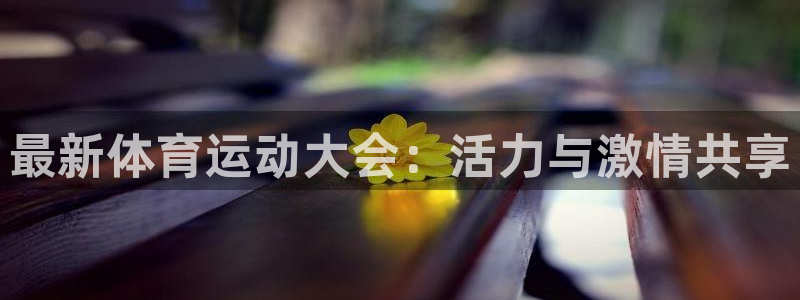 oety欧亿：最新体育运动大会：活力与激情共享