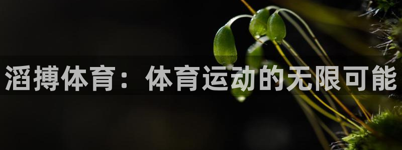 oety欧亿：滔搏体育：体育运动的无限可能
