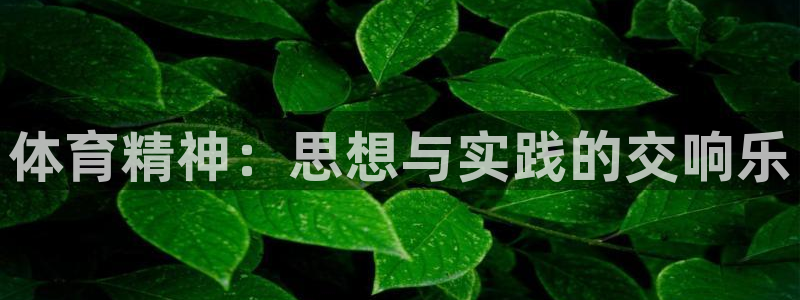 oety欧亿：体育精神：思想与实践的交响乐